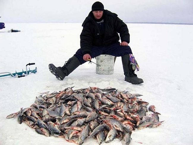 Короткий обзор некоторых моментов ловли рыбы зимой