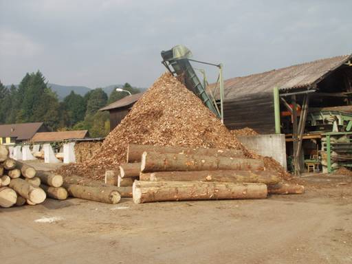 Разработка новых видов товаров из отходов древесины, как добавочный ресурс дохода